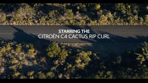 the-search-c4-cactus-rip-curl.jpg